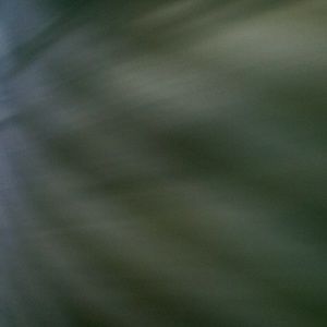 Meet your Posher, Aga